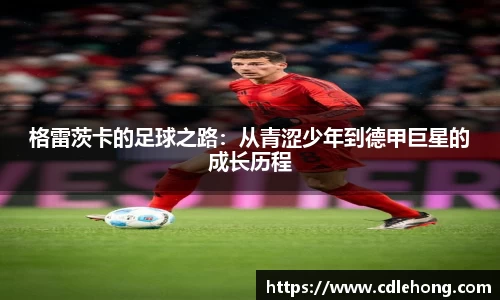 格雷茨卡的足球之路：从青涩少年到德甲巨星的成长历程
